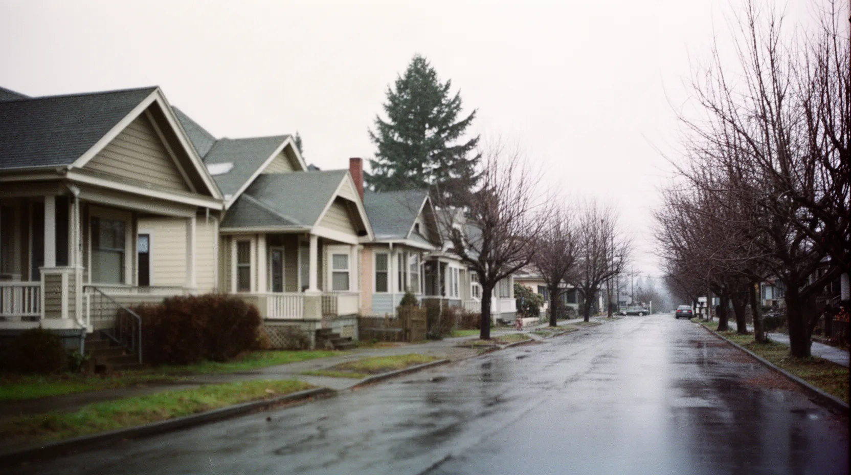 A wet residential street lined with Portland bungalows under gray skies