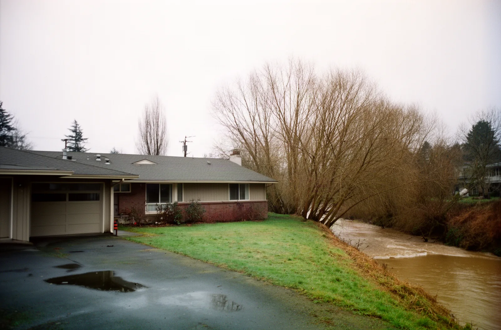A low ranch house with a wet yard sloping toward a creek swale